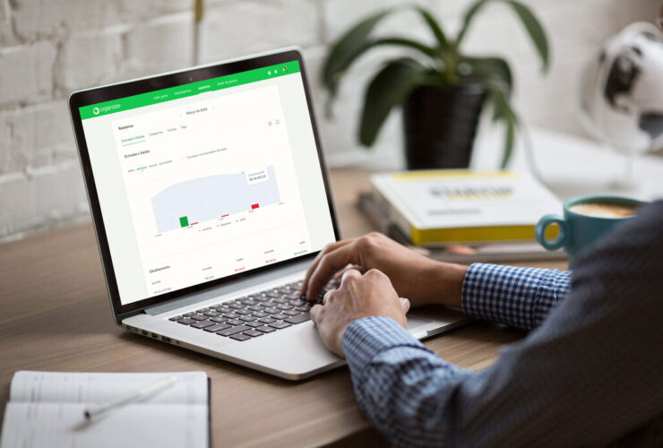 pessoa usando aplicativo com automação financeira no computador